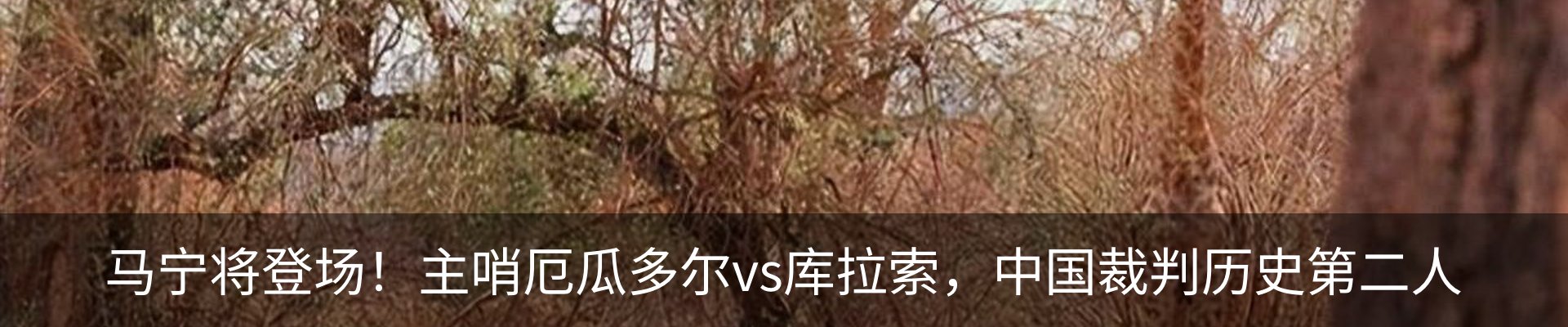 新闻中心